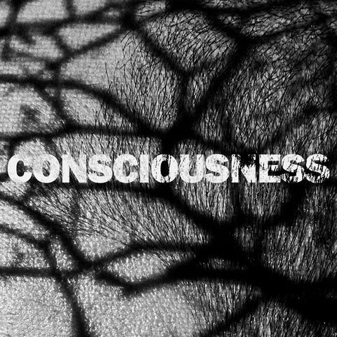 Consciousness WAV+MP3 Download