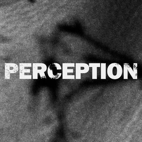 Perception WAV+MP3 Download