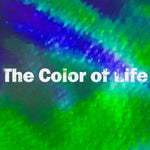 The Color of Life WAV+MP3 Download